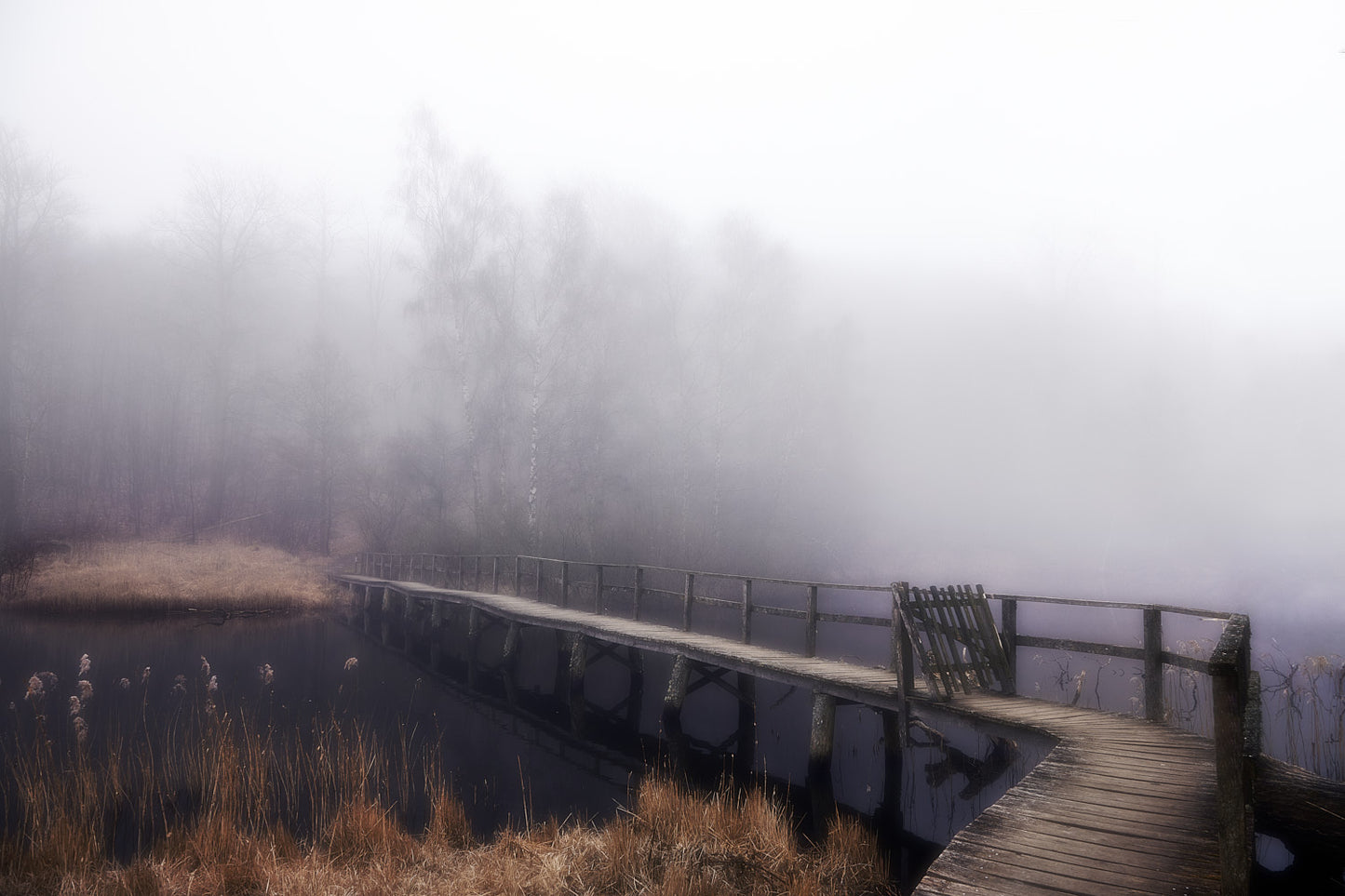 The Bridge in the Mist
