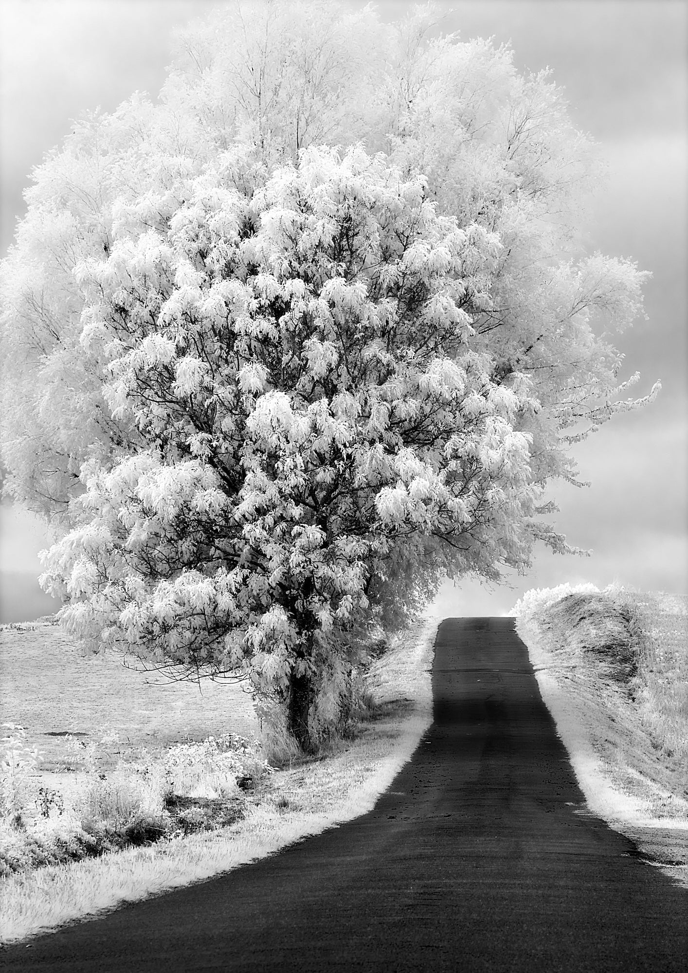 Vejen til en anden verden