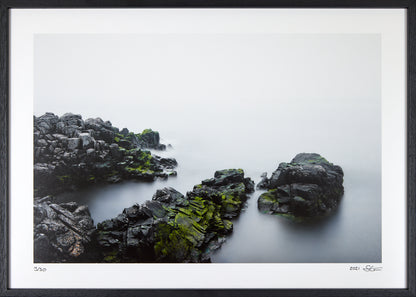 Sireneland