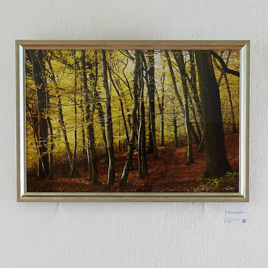 The Forest Wears a Yellow Hat In a Unique Frame