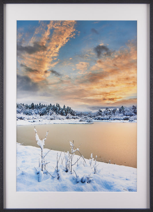 Vinter i Bastemose