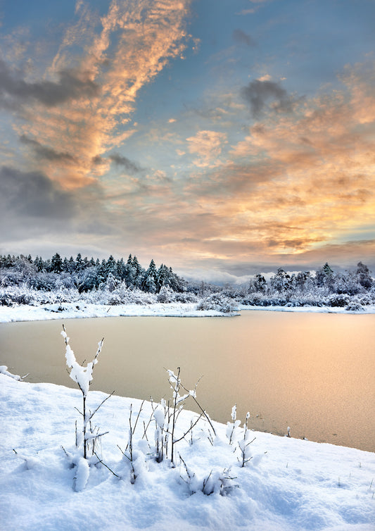 Vinter i Bastemose